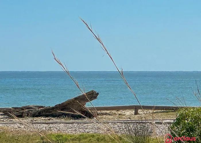 Olas * אורופסה דל מר